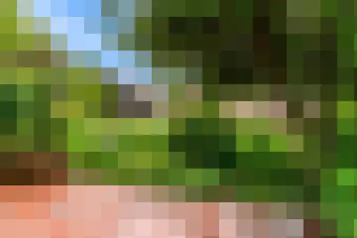 Roerdomp 57 Kockengen thumbnail 44