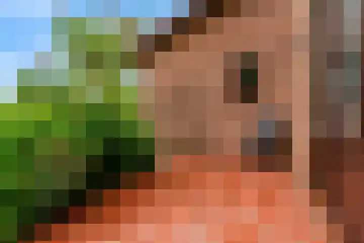 Roerdomp 57 Kockengen thumbnail 46