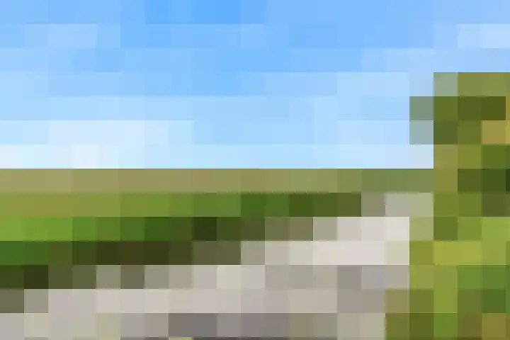 Roerdomp 57 Kockengen thumbnail 51