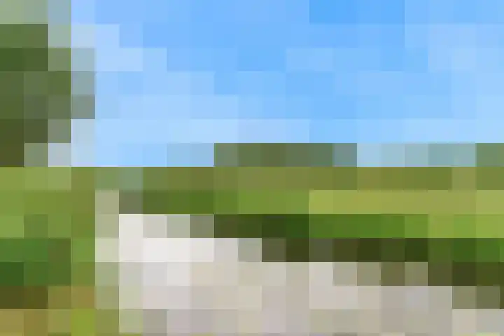 Roerdomp 57 Kockengen thumbnail 52