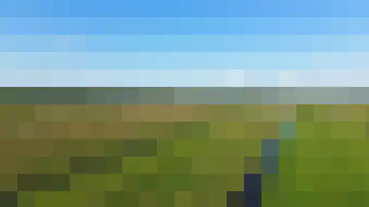 Roerdomp 57 Kockengen thumbnail 56