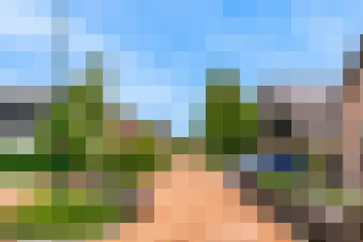 Roerdomp 57 Kockengen thumbnail 57