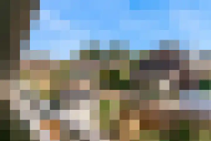 Roerdomp 61 Kockengen thumbnail 35