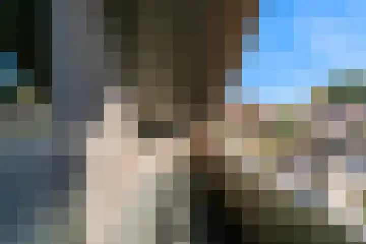 Roerdomp 61 Kockengen thumbnail 36