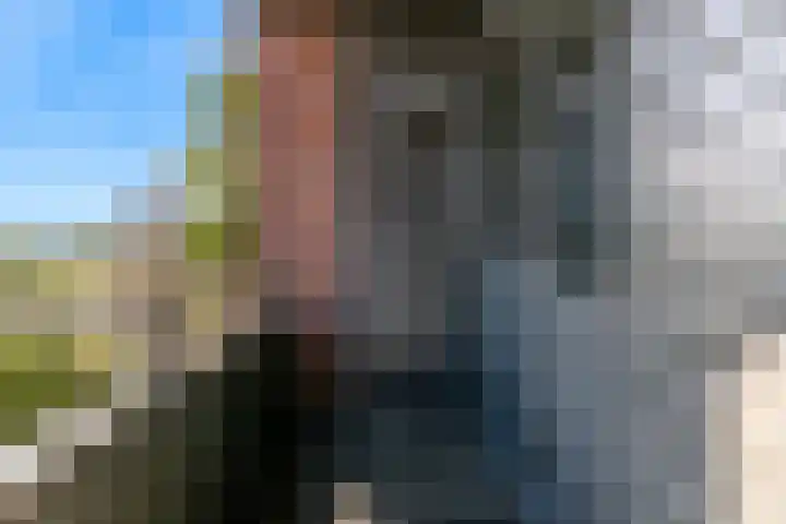 Roerdomp 61 Kockengen thumbnail 37