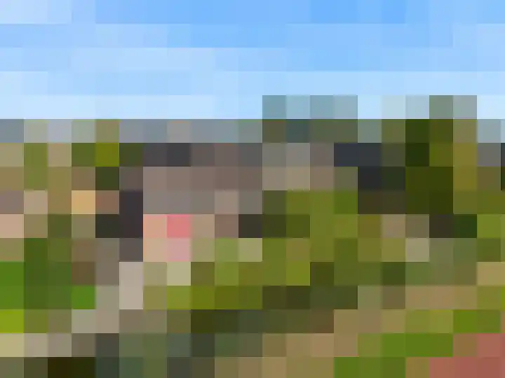 Roerdomp 61 Kockengen thumbnail 4