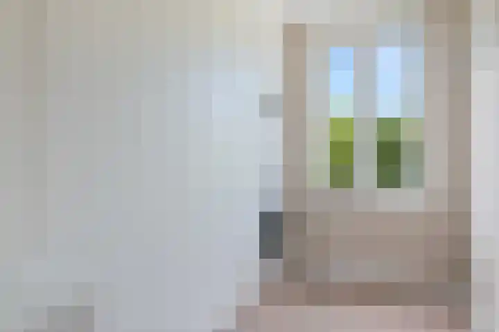 Roerdomp 61 Kockengen thumbnail 40