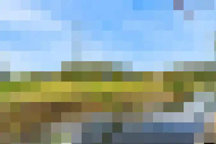 Roerdomp 61 Kockengen thumbnail 41