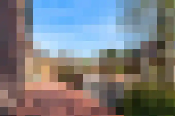 Roerdomp 61 Kockengen thumbnail 42