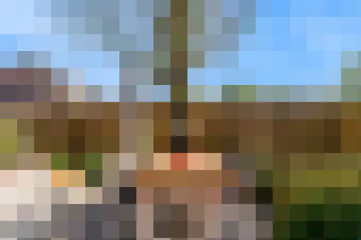 Roerdomp 61 Kockengen thumbnail 43