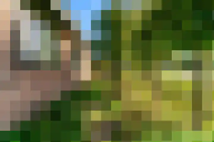 Roerdomp 61 Kockengen thumbnail 44