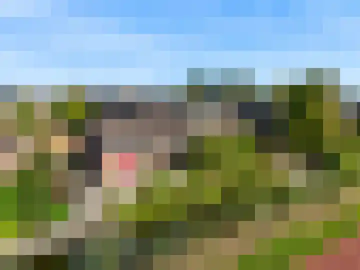 Roerdomp 61 Kockengen thumbnail 47