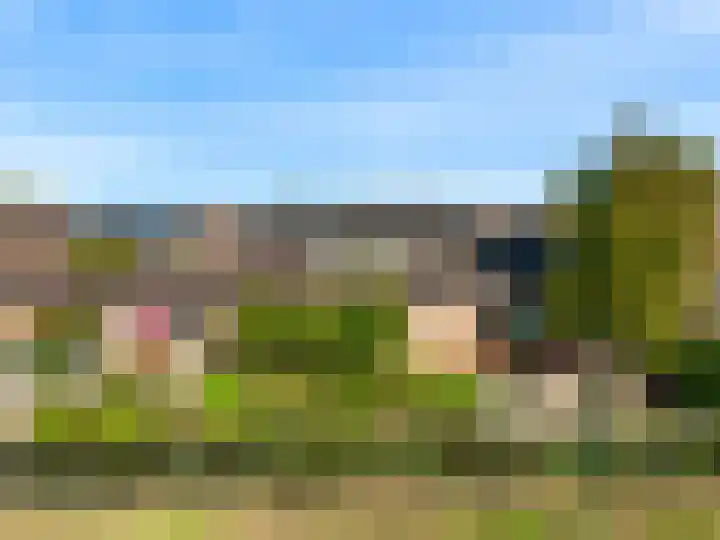 Roerdomp 61 Kockengen thumbnail 48