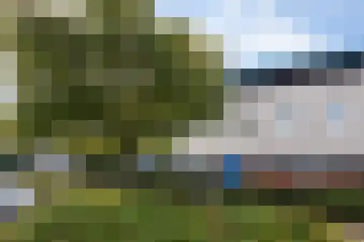 Roerdomp 61 Kockengen thumbnail 49