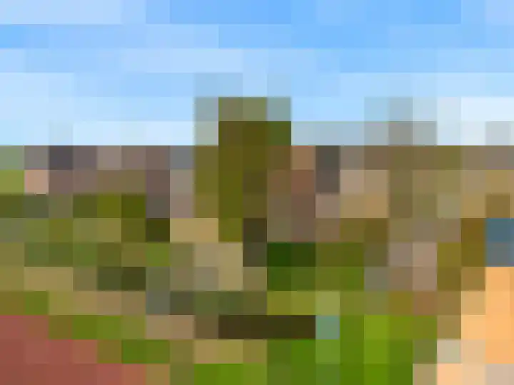 Roerdomp 61 Kockengen thumbnail 49