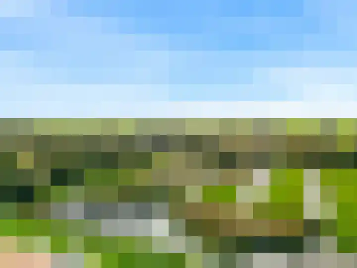 Roerdomp 61 Kockengen thumbnail 5