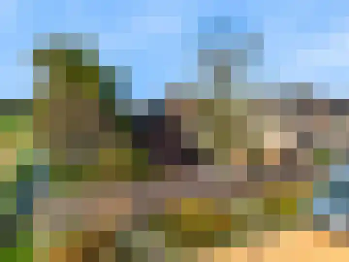 Roerdomp 61 Kockengen thumbnail 50