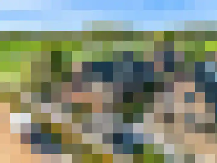 Roerdomp 61 Kockengen thumbnail 51