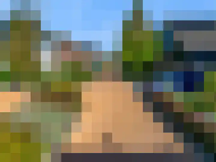 Roerdomp 61 Kockengen thumbnail 52