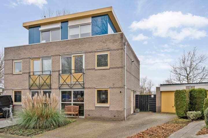 Roerdomp 8 in Meppel foto