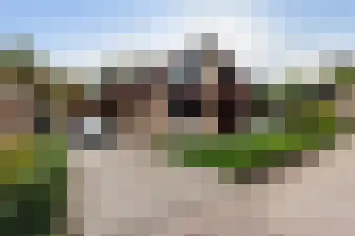 Roerdomp 8 Ridderkerk