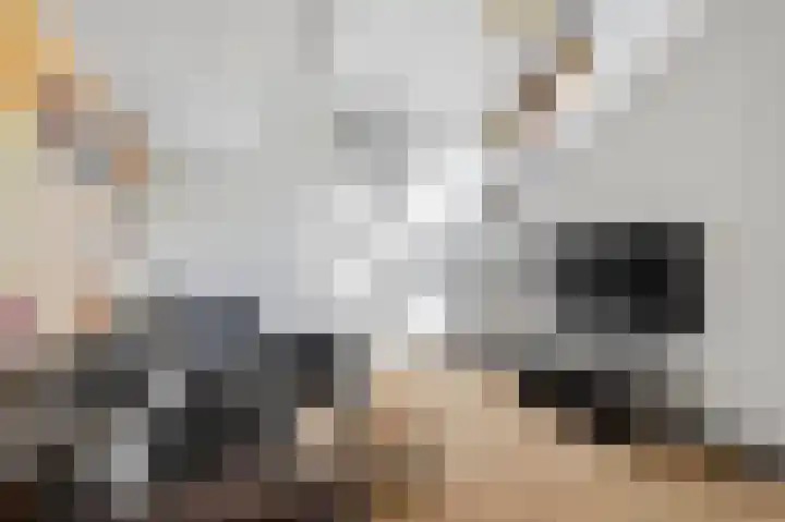 Roerdomp 8 Ridderkerk thumbnail 15
