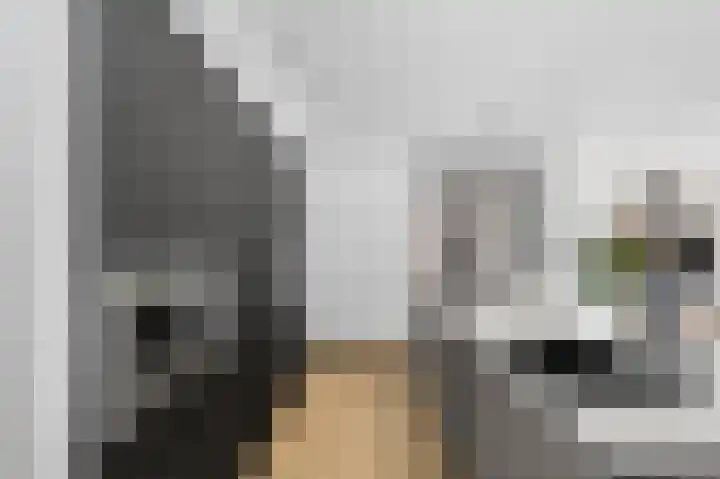 Roerdomp 8 Ridderkerk thumbnail 22