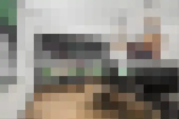 Roerdomp 8 Ridderkerk thumbnail 27