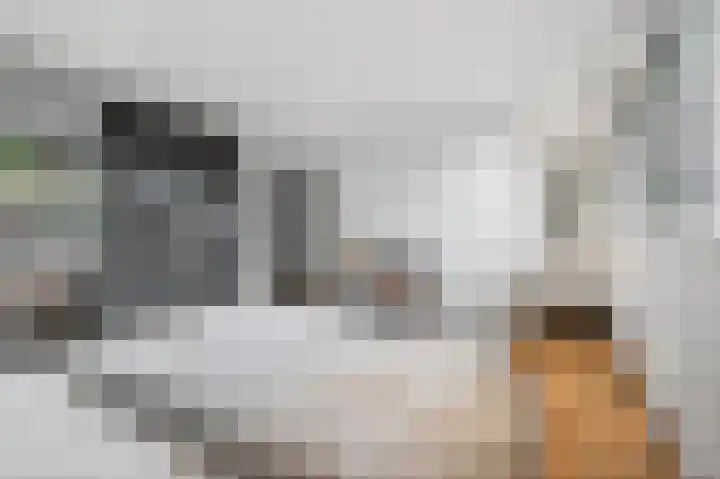 Roerdomp 8 Ridderkerk thumbnail 30