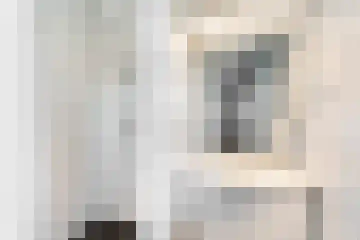 Roerdomp 8 Ridderkerk thumbnail 31