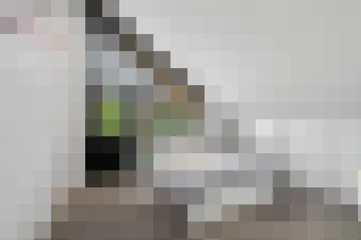 Roerdomp 8 Ridderkerk thumbnail 33