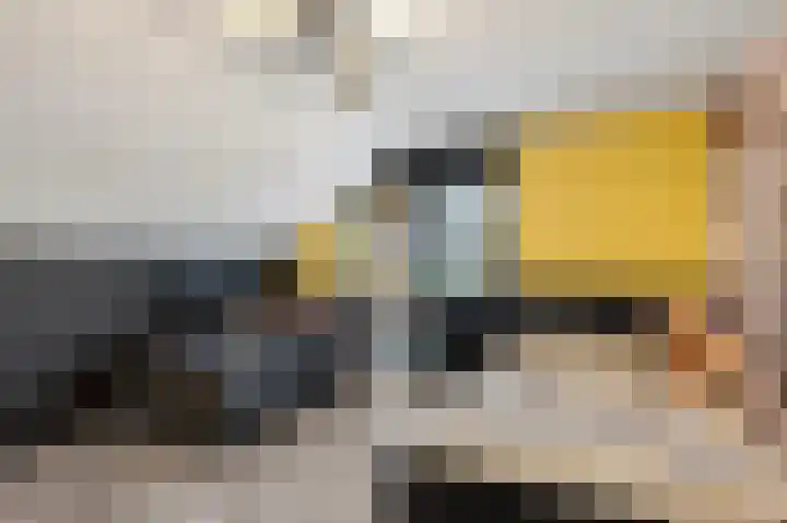 Roerdomp 8 Ridderkerk thumbnail 34
