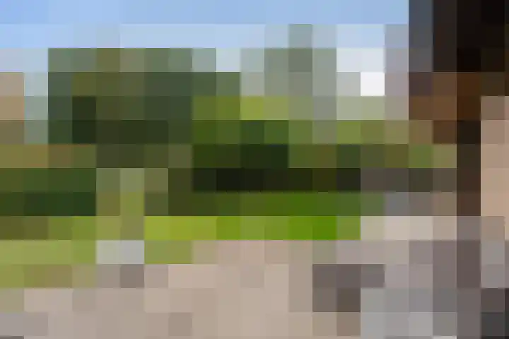 Roerdomp 8 Ridderkerk thumbnail 39