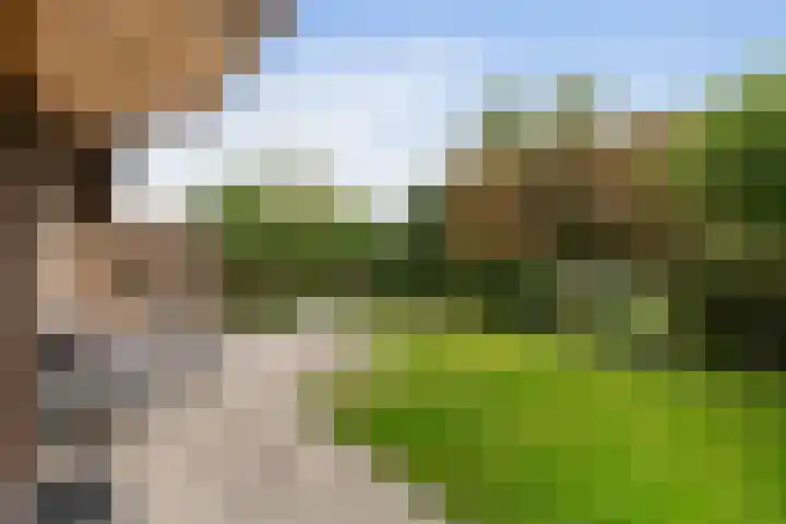 Roerdomp 8 Ridderkerk thumbnail 40