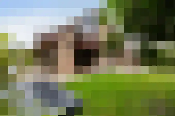 Roerdomp 8 Ridderkerk thumbnail 41