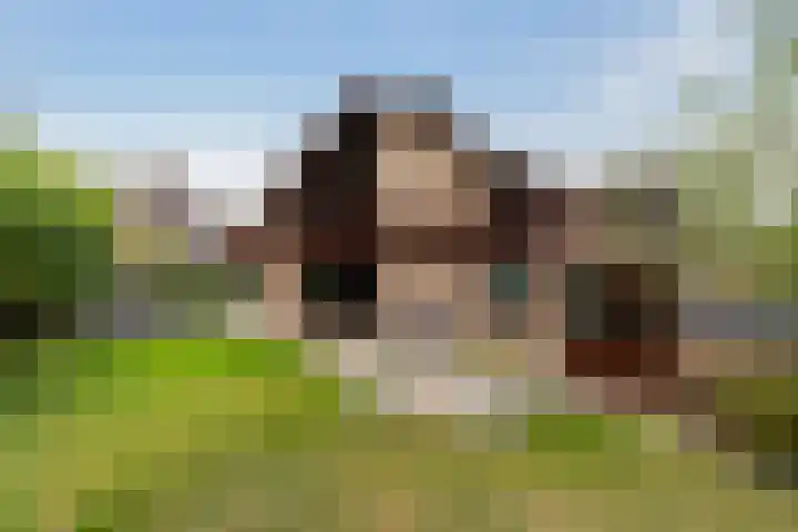 Roerdomp 8 Ridderkerk thumbnail 42