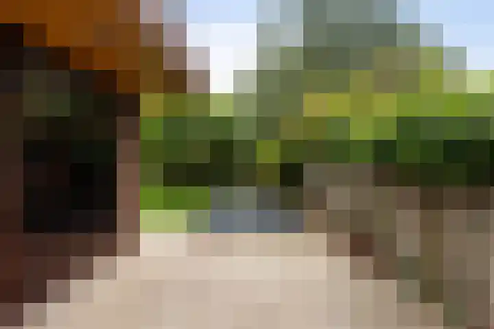 Roerdomp 8 Ridderkerk thumbnail 43