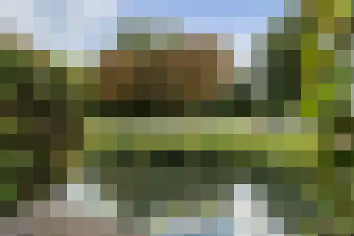 Roerdomp 8 Ridderkerk thumbnail 44