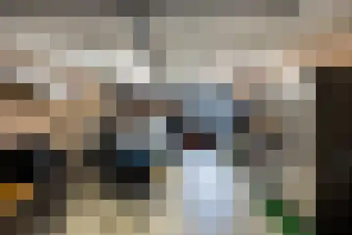 Roerdomp 8 Ridderkerk thumbnail 46