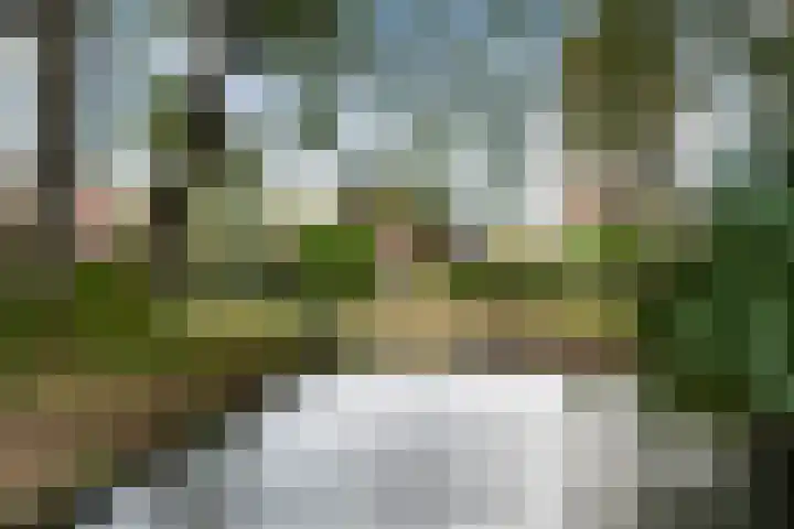 Roerdomp 8 Ridderkerk thumbnail 47