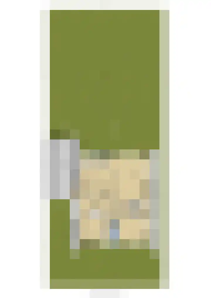 Roerdomp 8 Ridderkerk thumbnail 48