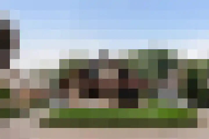 Roerdomp 8 Ridderkerk thumbnail 6