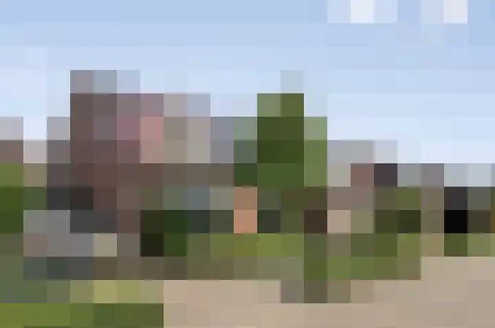 Roerdomp 91 Etten-Leur foto 2