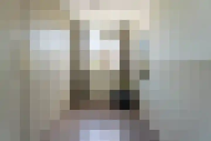 Roerdompstraat 14 Leiderdorp thumbnail 14