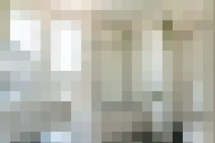 Roerdompstraat 14 Leiderdorp thumbnail 15