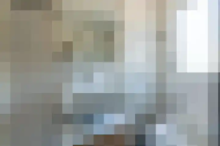 Roerdompstraat 14 Leiderdorp thumbnail 16