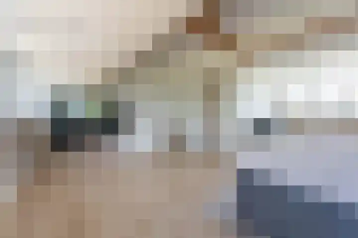 Roerdompstraat 14 Leiderdorp thumbnail 20