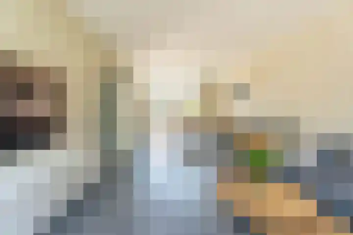 Roerdompstraat 14 Leiderdorp thumbnail 4