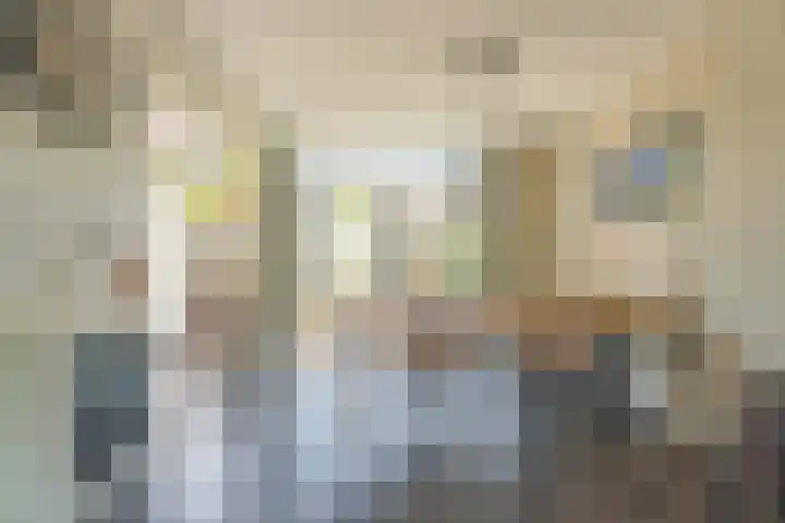 Roerdompstraat 14 Leiderdorp thumbnail 5