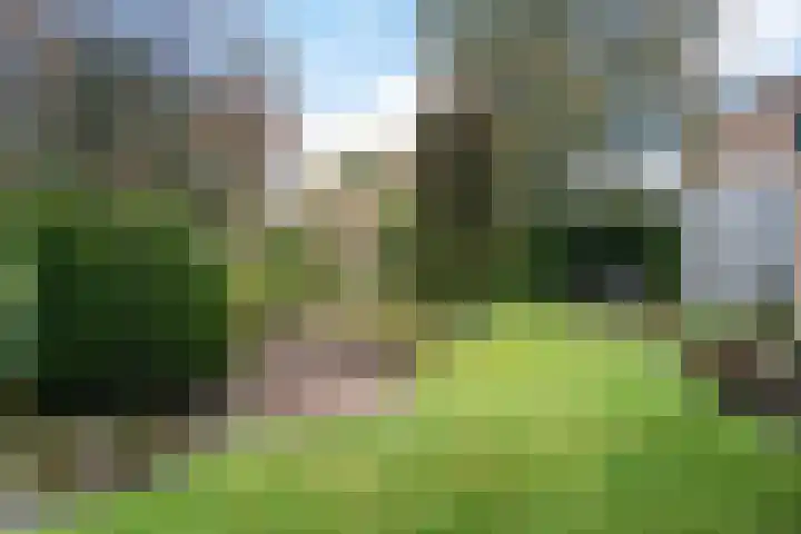Roerdompstraat 15 Ermelo thumbnail 29
